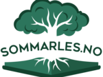 Logo, Sommarles